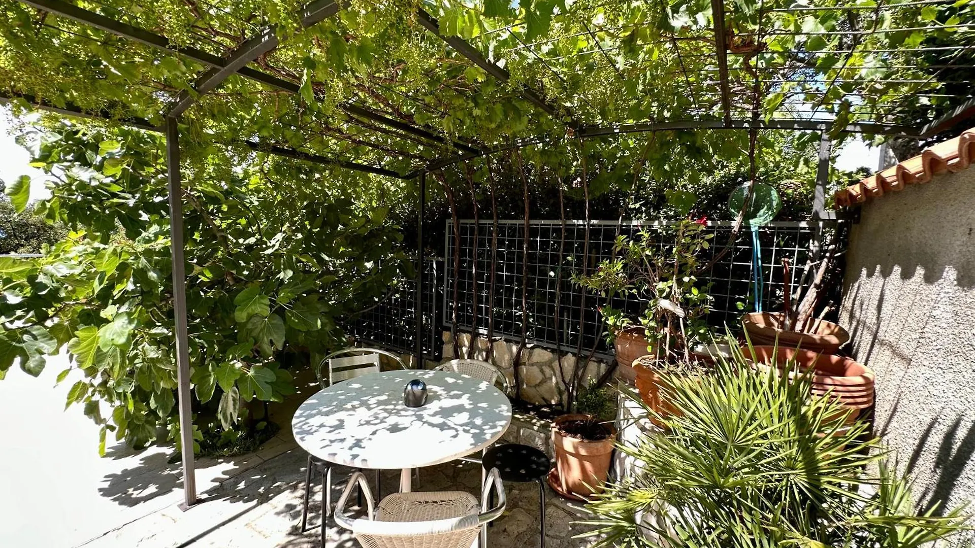 נובי ווינודולסקי Apartmani Velvet Vista נובי ווינודולסקי
